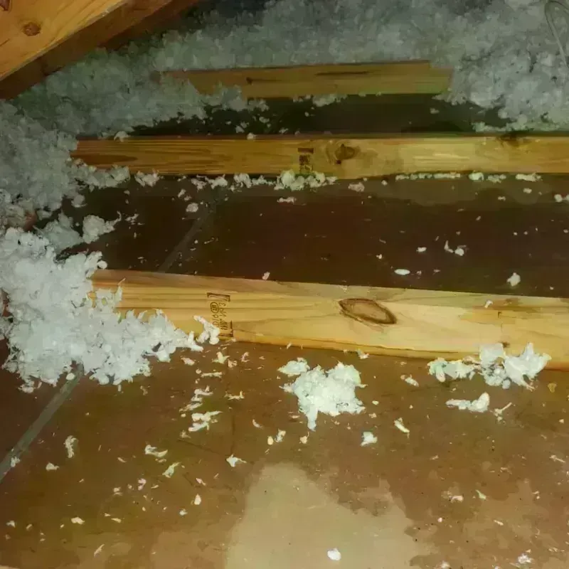 Attic Water Damage in Volga, SD