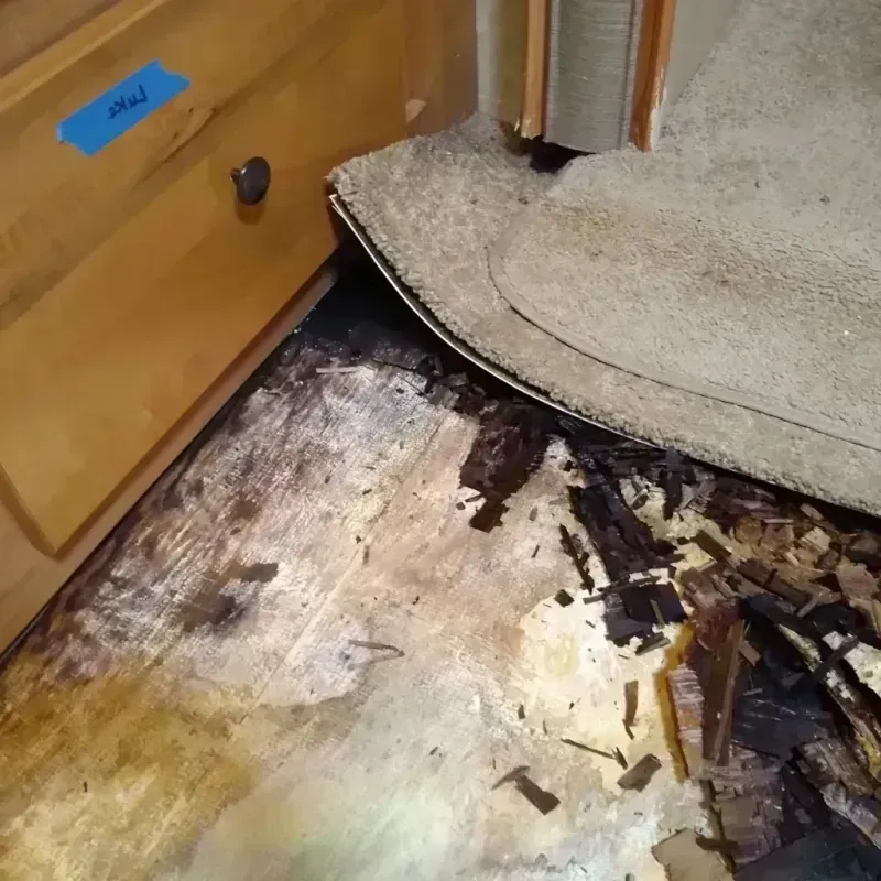 Wood Floor Water Damage in Volga, SD